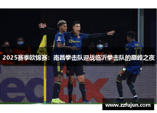 2025赛季欧锦赛：南昌拳击队迎战临沂拳击队的巅峰之夜